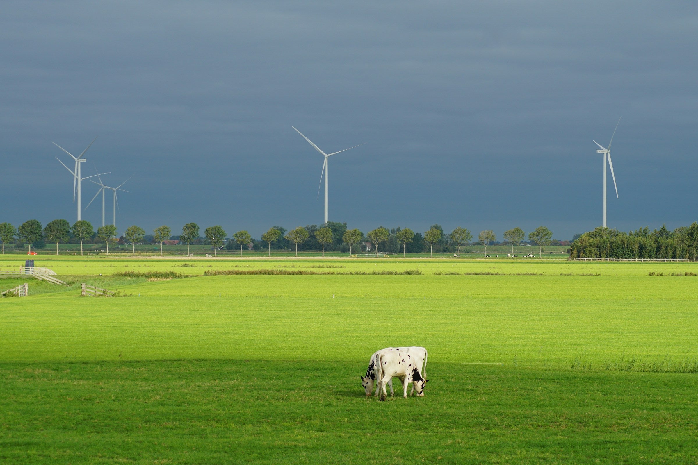 Exploring the Benefits of Using Renewable Energy for Mining